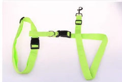 Running Pull Belt Traction Dog Leash