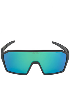 ALPINA Trendy comfortable wearing protective  Goggles