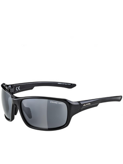 ALPINA Trendy comfortable wearing protective  Goggles