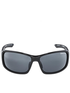 ALPINA Trendy comfortable wearing protective  Goggles