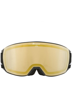 ALPINA Trendy comfortable wearing protective  Goggles