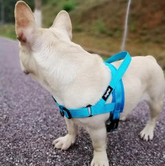 Dog Adjustable Walking Harness