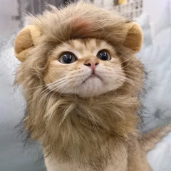 Cat Lion Mane Halloween Costume Lion Costume for Small Cats and Kittens – for Halloween, Cat Birthday, Cat Cosplay, Cat Outfits