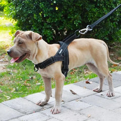 Dog Adjustable Walking Harness