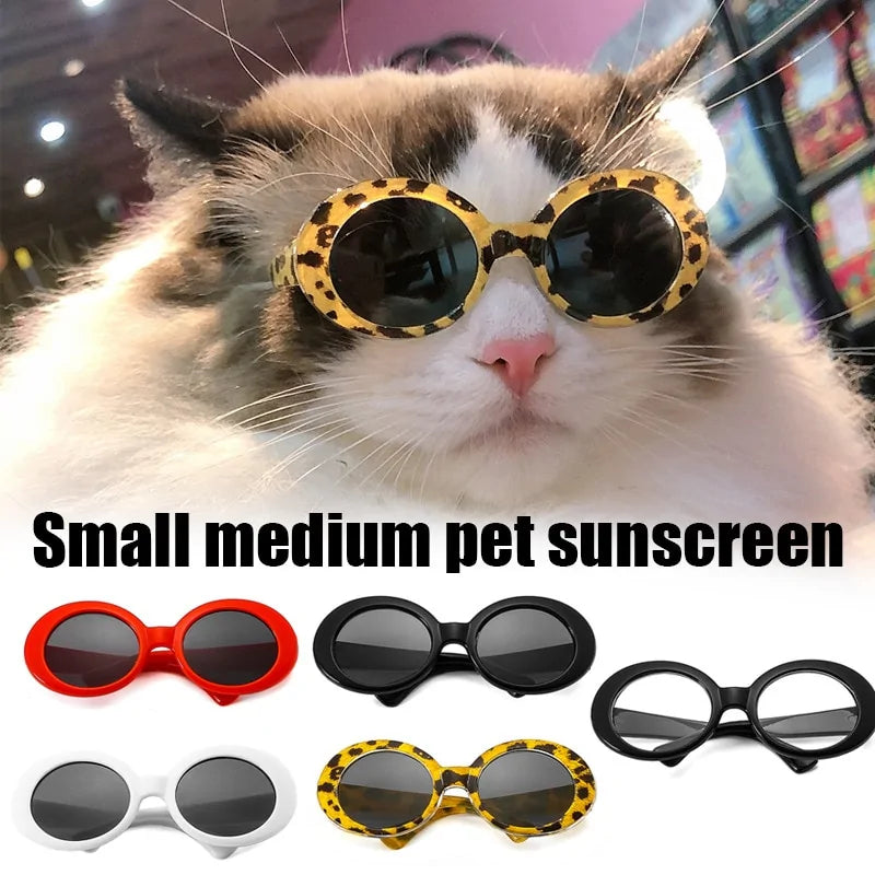 Dog Cat Sunglasses