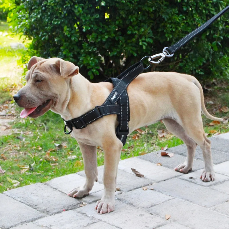 Dog Adjustable Walking Harness